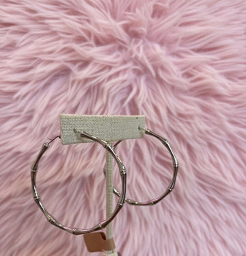 Silver Hoops
